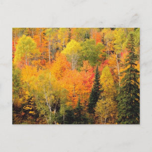 Postal Valle del Foliage