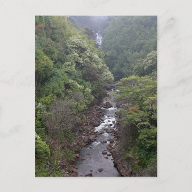 Postal Valle del Río cerca de Hilo, Hawaii (Anverso)