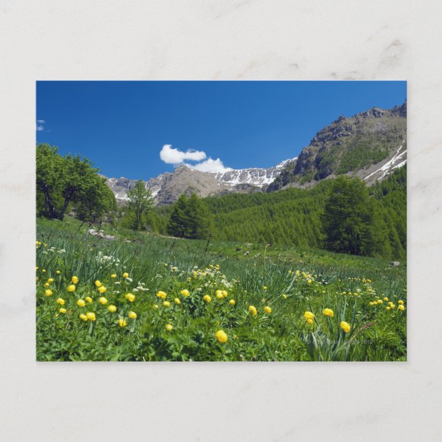 Postal Valle Estenc en la Riviera Francesa de primavera (Anverso)