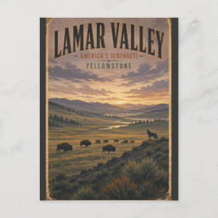 Postal Valle Lamar Yellowstone Viajes de Vida Silvestre V
