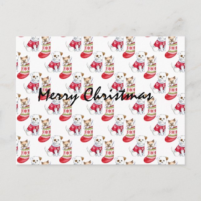 Postal Valores de perros y gatos de navidades (Anverso)