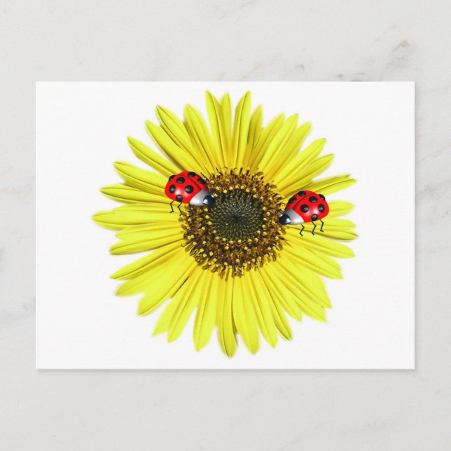 Postal Valxart Happy Lady Bugs sobre el girasol amarillo (Anverso)