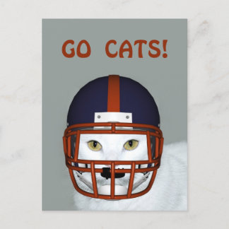 POSTAL ¡VAMOS A LOS GATOS!