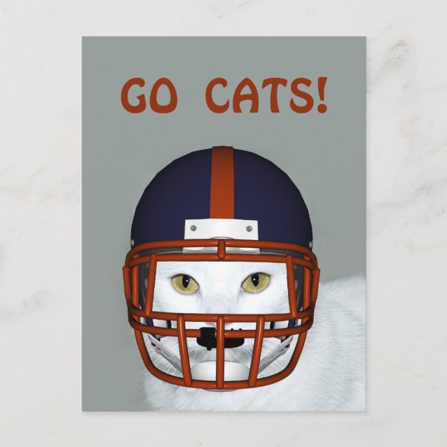 POSTAL ¡VAMOS A LOS GATOS! (Anverso)