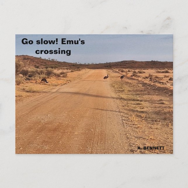 Postal ¡Vamos Lento! (Anverso)