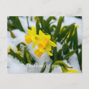 Postal Vamos Primavera Pensando En Tu Postcard