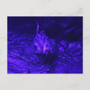Postal Vampire Bat