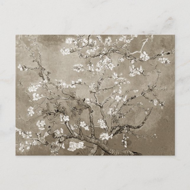 Postal Van Gogh Almond Brands en Bloom - Sepia (Anverso)