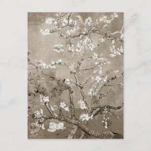 Postal Van Gogh Almond Brands en Bloom - Sepia