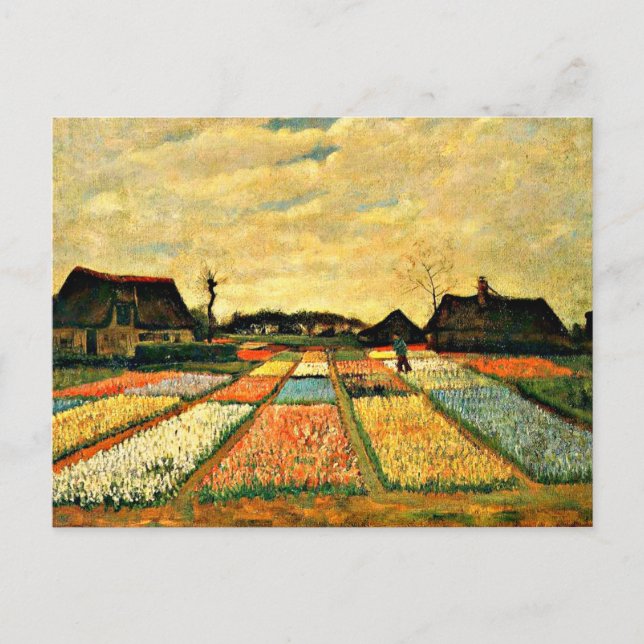 Postal Van Gogh - Camas de flores en Holanda (Anverso)