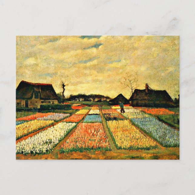 Postal Van Gogh - Camas de flores en Holanda (Anverso)