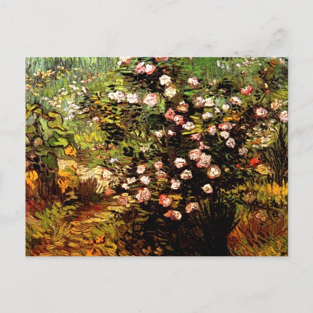 Postal Van Gogh - El floreciente Rosa Bush (Anverso)
