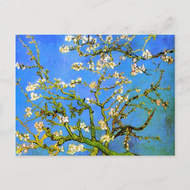 Postal Van Gogh: Florecientes ramas de árbol de almendros (Anverso)