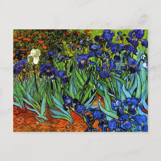 Postal Van Gogh - Irises (Anverso)