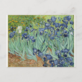 Postal Van Gogh Irises