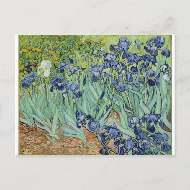 Postal Van Gogh Irises (Anverso)