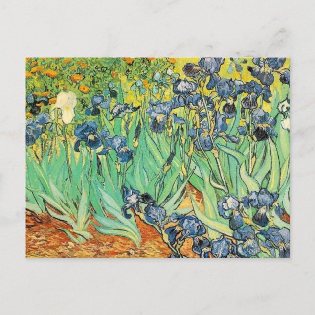 Postal Van Gogh Irises (Anverso)