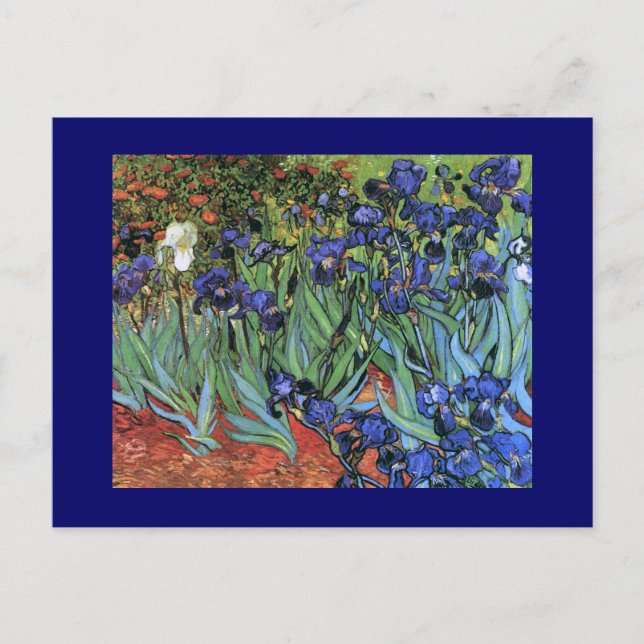 Postal Van Gogh Irises (F608) Bella Artes de cosecha (Anverso)