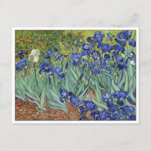 Postal Van Gogh Irises Vintage Bella Artes Floral