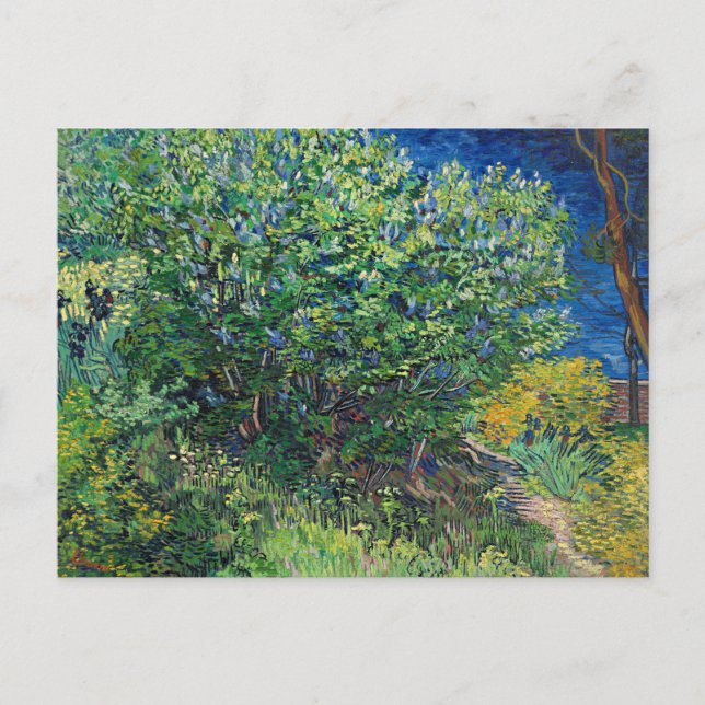 Postal Van Gogh - Lilac Bush (Anverso)