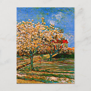 Postal Van Gogh - Orchard en Blossom