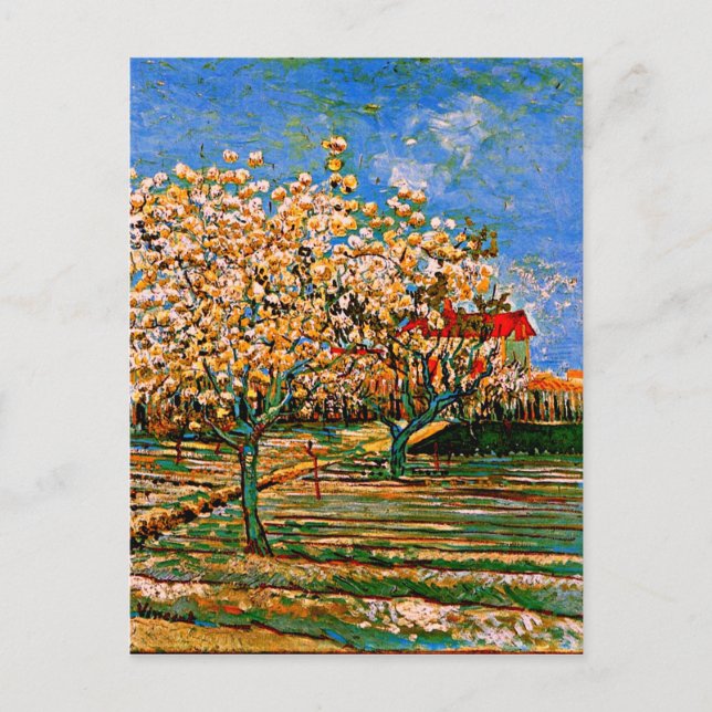 Postal Van Gogh - Orchard en Blossom (Anverso)