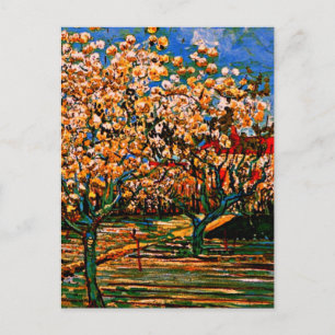 Postal Van Gogh - Orchard en Blossom