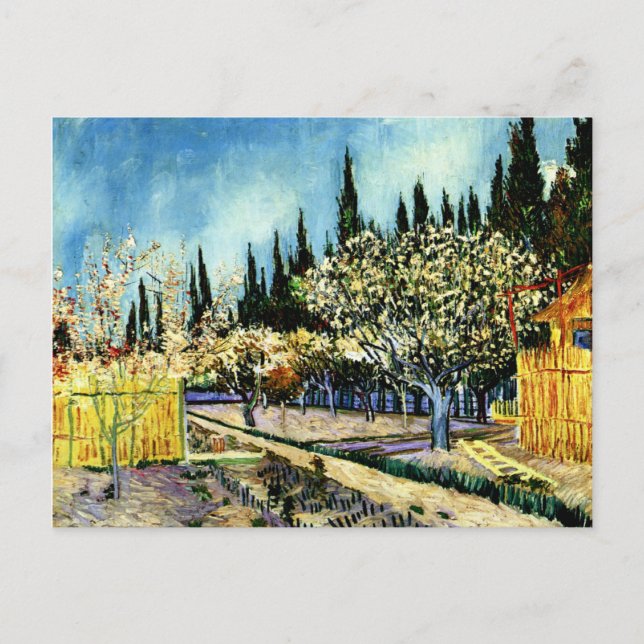Postal Van Gogh - Orchard rodeado de cipreses (Anverso)