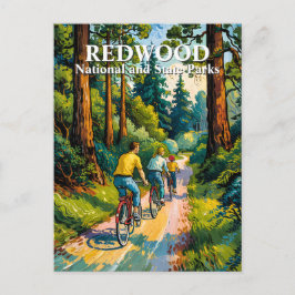 Postal Van Gogh Redwood National Park Family Cycling 