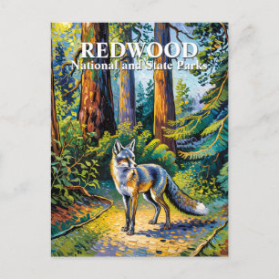 Postal Van Gogh Zorro Parque Nacional Redwood Bosque Pers