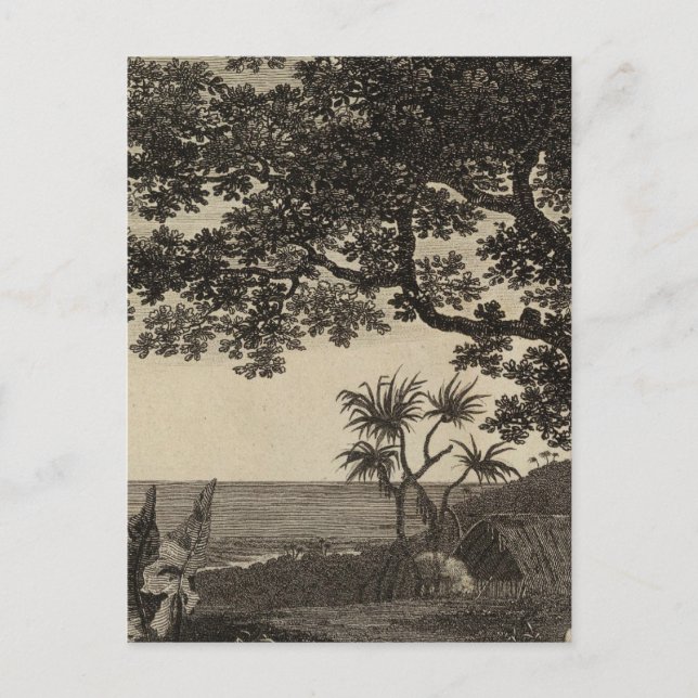 Postal Vanuatu 3 (Anverso)