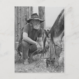 Postal Vaquero