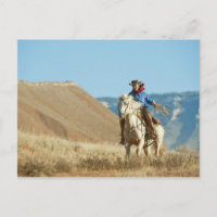 Vaquero 13