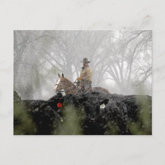 Postal Vaquero en invierno (Anverso)