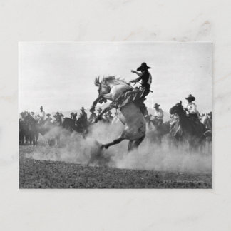 Postal Vaquero en un bronco burlón