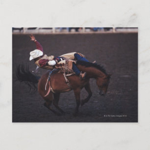 Postal Vaquero en un rodeo 2