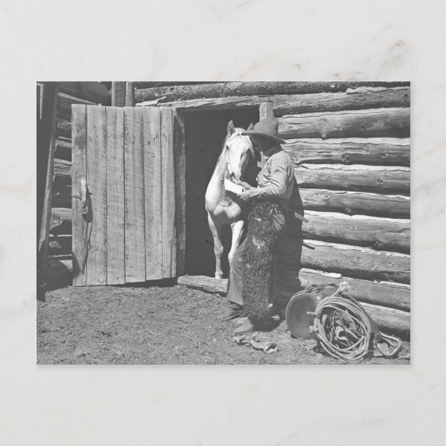 Postal Vaquero leyendo una carta. (Anverso)