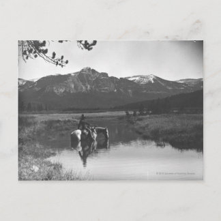 Postal Vaquero y caballo en un estanque