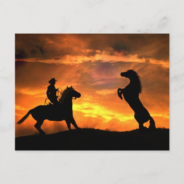 Postal Vaquero y caballo salvaje cultivando el oeste (Anverso)
