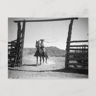 Postal Vaqueros