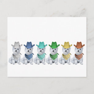 Postal Vaqueros Westie Todos en una línea