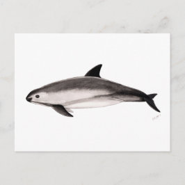 Postal Vaquita
