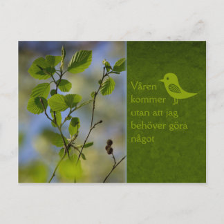 Postal Våren kommer ändå CC0838 Slappna av