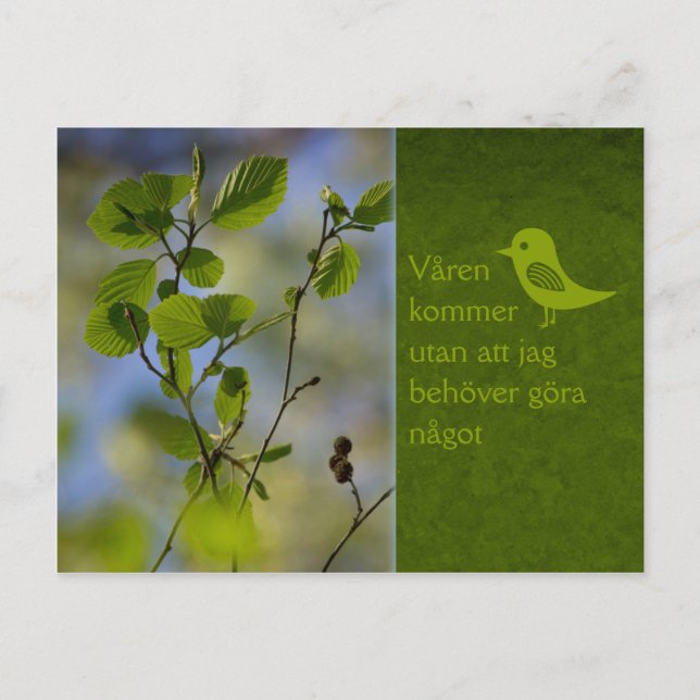 Postal Våren kommer ändå CC0838 Slappna av (Anverso)