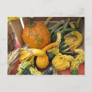 Postal Variación de Gourd
