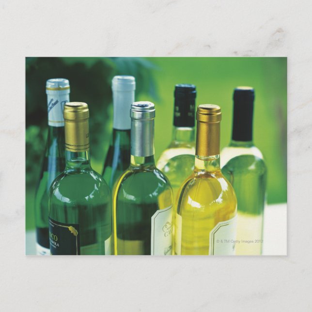 Postal Variedad de botellas de vino (Anverso)