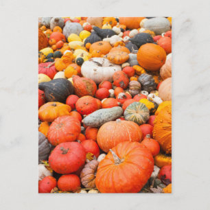 Postal Variedad de calabaza a la venta, Alemania