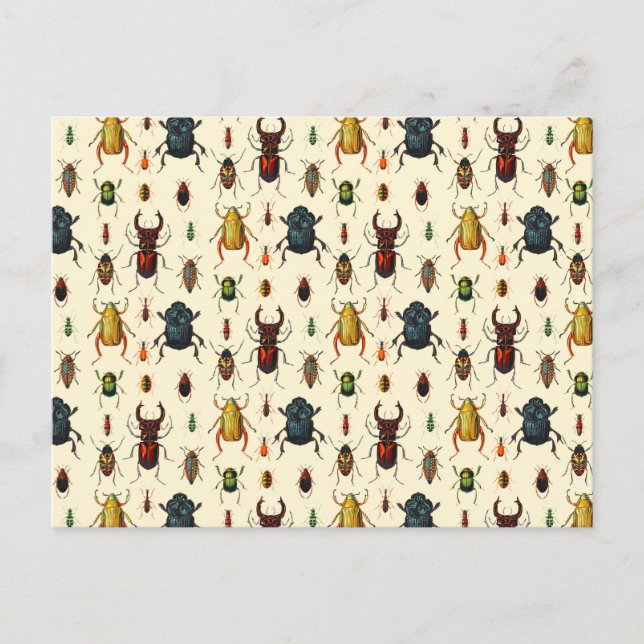 Postal Variedades de escarabajo (Anverso)