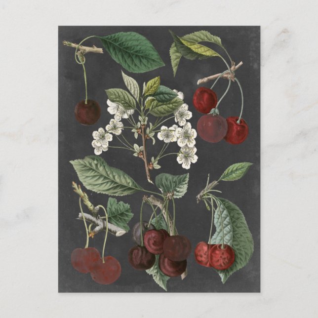 Postal Variedades de huerto I (Anverso)