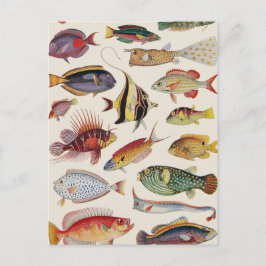 Postal Variedades de pescado